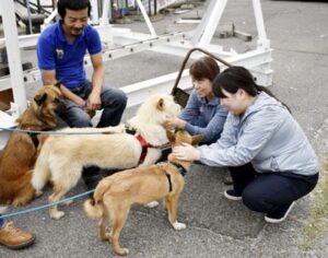 お渡し人、伊藤