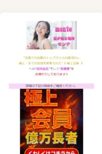 monte内部