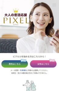 ピクセル