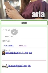 aria内部