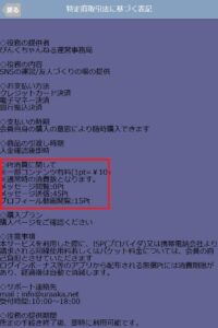 ピンクチャンネル料金