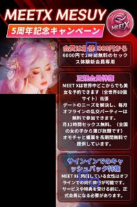MEETX漢字分析
