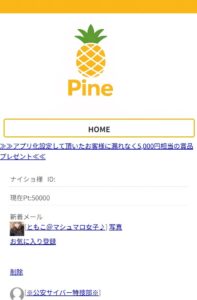 パイン内部