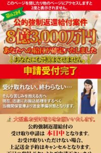 公的強制返還給付案件