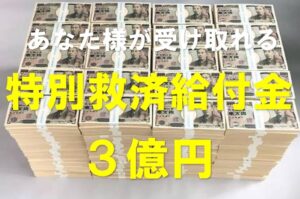 特別救済給付金３億円